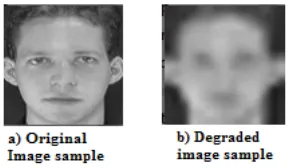 TABLE PERFORMANCE COMPARISON OF FACE RECOGNITION INDEPENDENT OF POSEVI , ORL
