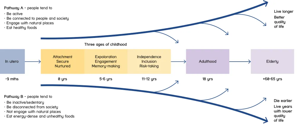Figure 2. Life pathways