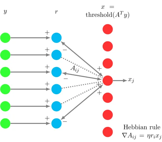 Figure 4: Neural network implementation of Algorithm 2. The network takes the image yas input and produces the sparse representation x as output