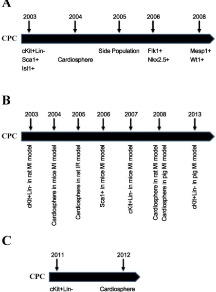 Figure 1: Timeline of the discovery of CPCs and their applications.  A. Timeline of the discovery of different populations of 