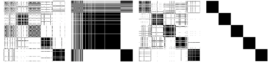 Figure 2: Indication matrix EJ(t) of the computed partition of Algorithm 3 using Ωc (left)or Ωβ(middle right) corresponding to the solution (middle left) of Algorithm 4starting with the left J