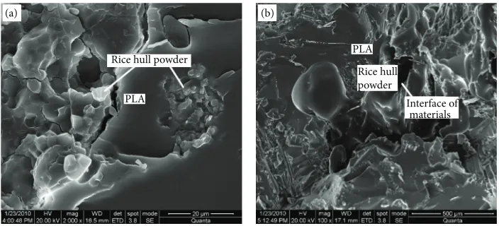 Table 7: Mechanical properties of RH filled PLA composites.