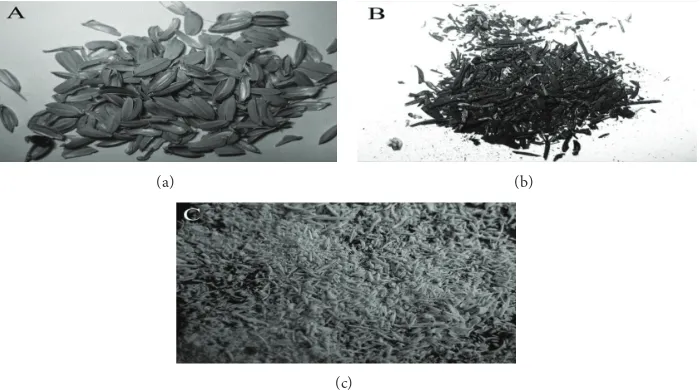 Figure 11: Typical images of (a) RH, (b) RHA, and (c) extracted silica [52].