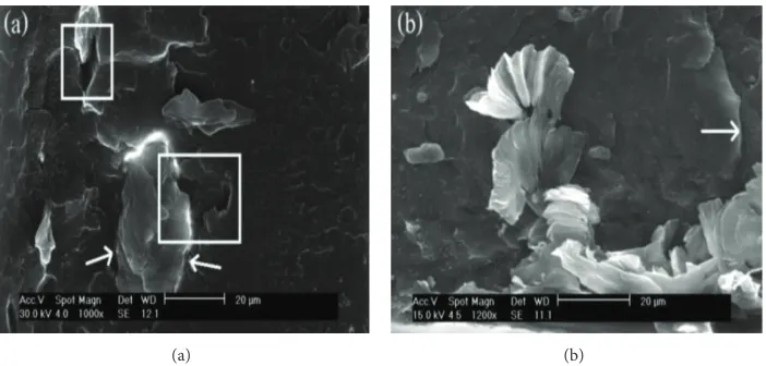 Figure 1: SEM micrographs of the fractured surface of composites films with varying MMT content: (a) 0 and (b) 6 wt% of MMT content[42].