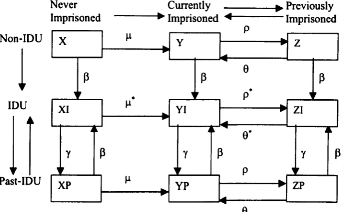 Figure 3.1 - Flow diagram of the age specific turnover of IOUs and non-IOUs in 
