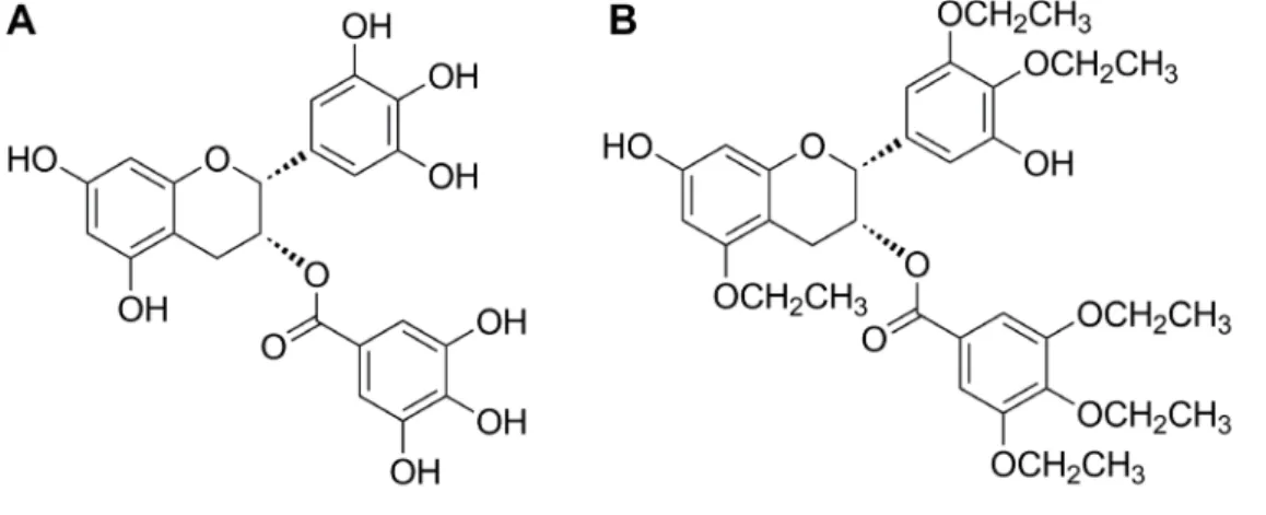 Figure 1: Chemical structures of two monomers of catechin.