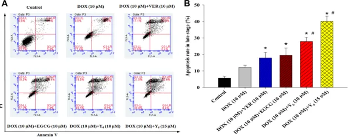 Table 3: The expression of hif-1α and MDR1 genes in BEL-7404/DOX cells (n = 3) Gene