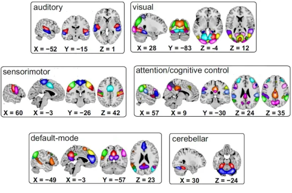 Figure 1.6. Common resting-state networks [25]. 