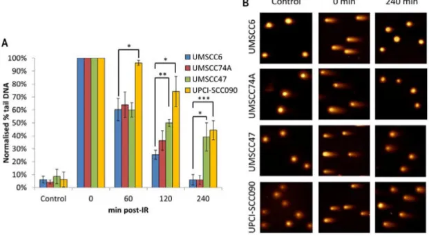 Figure 2: Comparative efficiency of the repair of DNA DSBs in HPV-negative and HPV-positive OPSCC cells