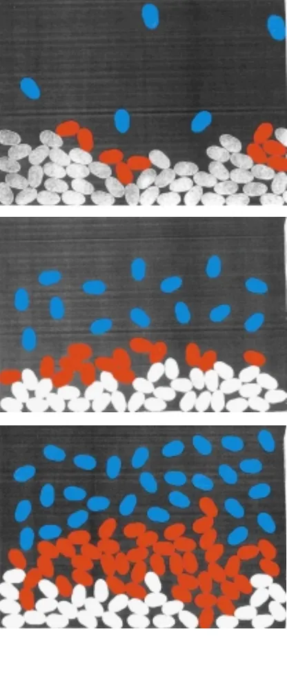 Figure 3 The behaviour of the front. a, The front (coloured red) of grains which have