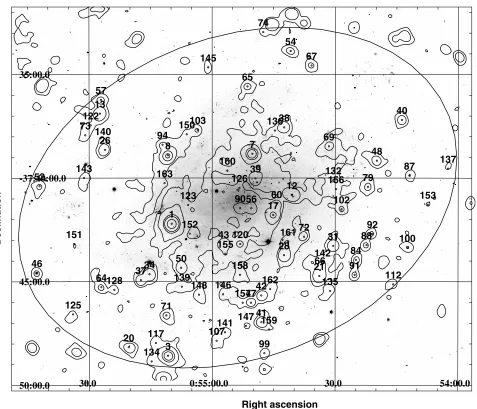 Fig. 1. Optical image of NGC 300 in the visible band overlaid by a contour map of the merged 0.3–6.0 keV raw X-ray image from all threeEPIC cameras and from both orbits