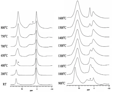 Figure 5  27Al MAS NMR spectra of a Hungarian white illite clay heated at various temperatures up to 1600oC for 2 hours at a magnetic field of 18.8T (* indicates spinning sideband)