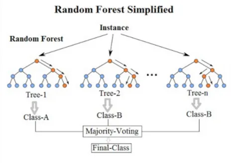 Figure 3.5: Random Forest Graphical Representation