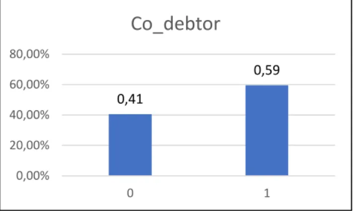 Figure 4.1: Distribution of Values in Co-debtor Variable 