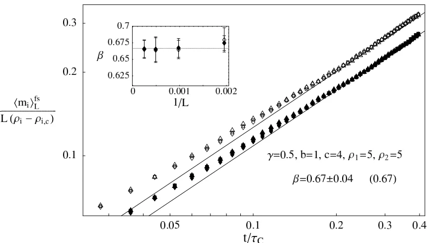 FIG. 7: Finite size corrected data for phase C with γ = 0.5 as given in (30).