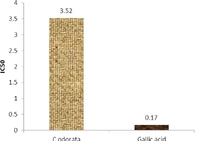 Figure 4: Inhibiting concentration 50 of aqueous  extract of C.odorata and gallic acid  