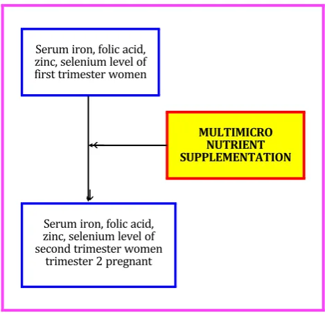 Figure 1. Schematic representation of study scheme