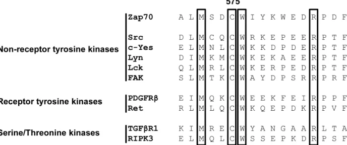 Figure 1: Alignment of the primary amino acid sequence of the conserved Mx (2) CWx (6) R motif in non-receptor and  receptor tyrosine kinases, as well as serine/threonine kinases