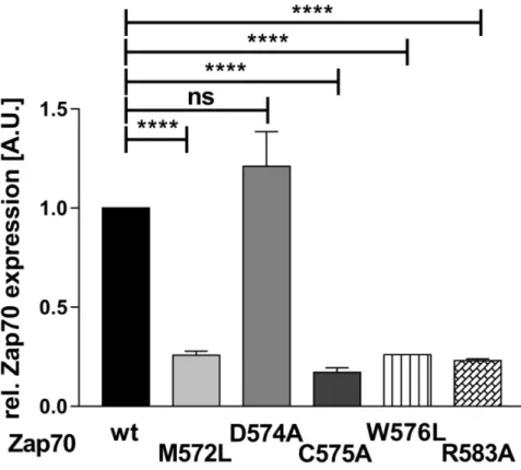 Figure 7: Analysis of Zap70 function.  P116 cells were transiently transfected with Zap70wt-YFP or Zap70C575A-YFP
