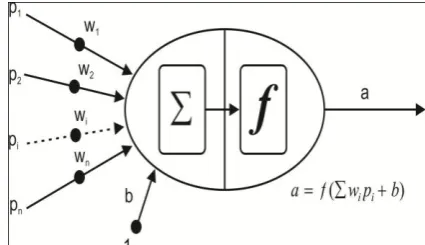 Fig. 4: An artificial neuron with one input and biases.   