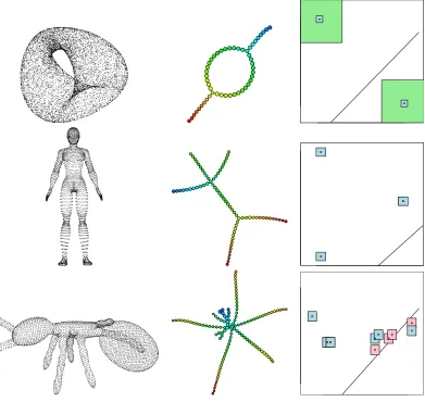 Figure 5: Mappers computed with automatic tuning (middle) and 85 percent conﬁdenceregions for their topological features (right) are provided for an embedding of theKlein Bottle into R4 (ﬁrst row), a 3D human shape (second row) and a 3D antshape (third row).