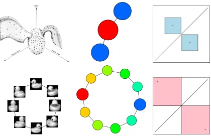 Figure 6: Mappers computed with automatic tuning (middle) and 85 percent conﬁdenceregions for their topological features (right) are provided for the Reaven-Millerdata set (ﬁrst row) and the COIL data set (second row).