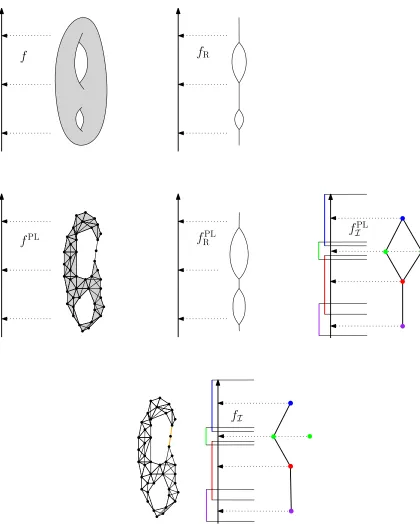 Figure 8: Examples of the function deﬁned on the original space (left column), its inducedfunction deﬁned on the Reeb graph (middle column) and the function deﬁned onthe Mapper (right column)