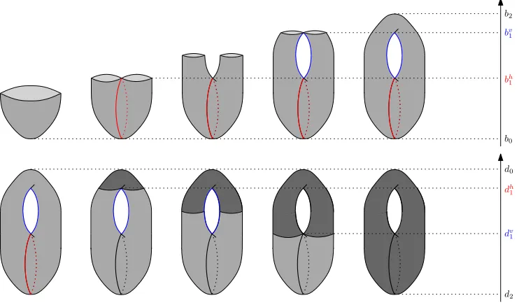 Figure 9: The extended ﬁltration of the height function on a torus. The upper row displaysthe ordinary part of the ﬁltration while the lower row displays the relative part.The red and blue cycles both correspond to extended points in dimension 1