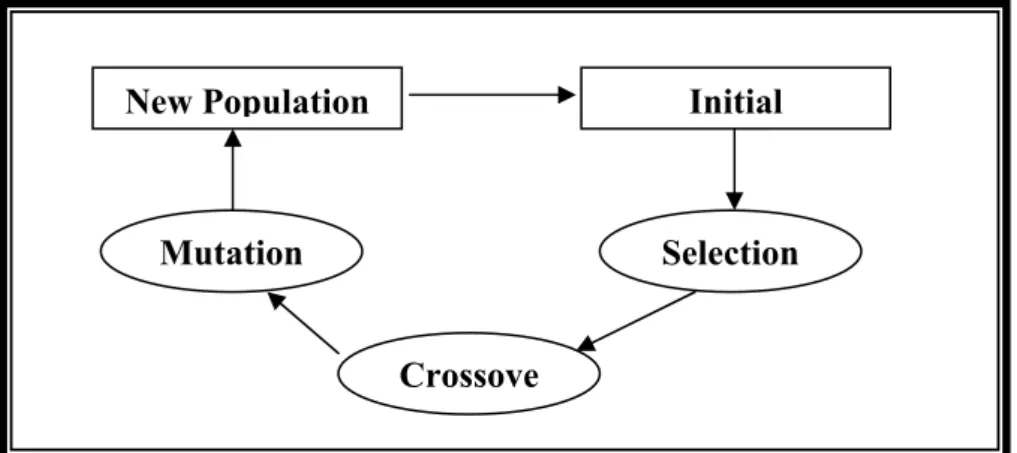 Figure 1 Basic Cycle of GA Operations [Tarek 1999] 
