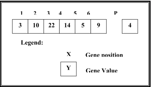 Figure 2 Chromosome Structure [Lue 1999] 