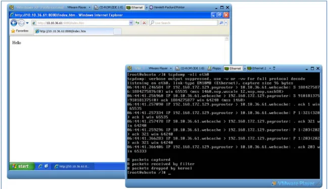 Figure 3- 2:  network packets being read by one virtual machine