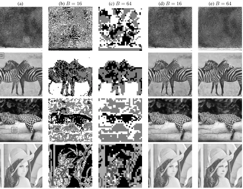 Fig. 1.image blocks ( Supervised self-similarity clustering results: (b)-(c): results on ﬁngerprint, zebras, jaguar and Lena images groupingB = 16, 64) that are related by an afﬁne-group transformation