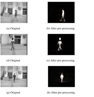 Figure 2: Results of pre-processing