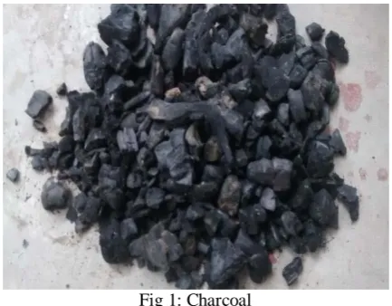 Fig 1: Charcoal 