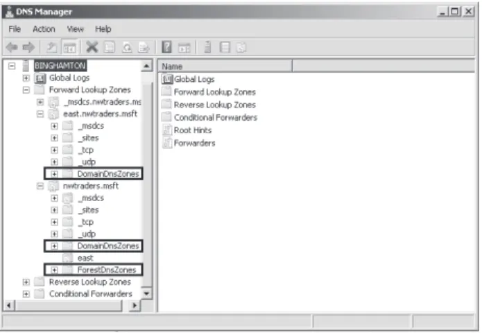 figure 3-23  You can see evidence of the built-in directory partitions for DNS within an Active Directory–