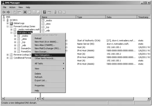figure 3-32  Creating a new delegation