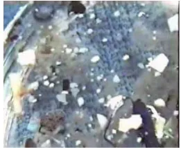 Fig 1. Effect of solar radiation on plastic degradation  