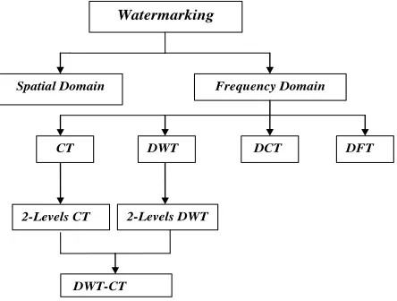 Fig.3 watermarking techniques 
