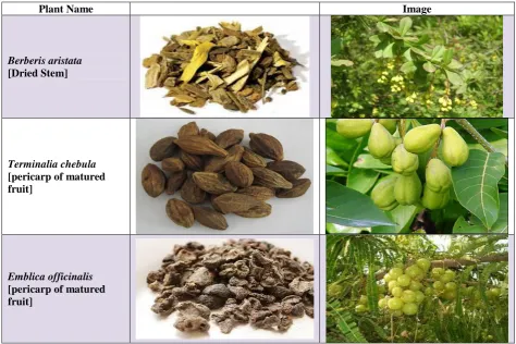 Table 2: Plant Profile.  