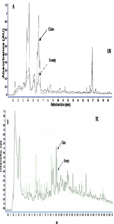 Figure 2: A, HPLC-UV; B, Total ion counts (TIC)- overlaid trace chromatograms of non-hydrolysable methanolic extract of leaves from 2-week-old Claire and Bounty