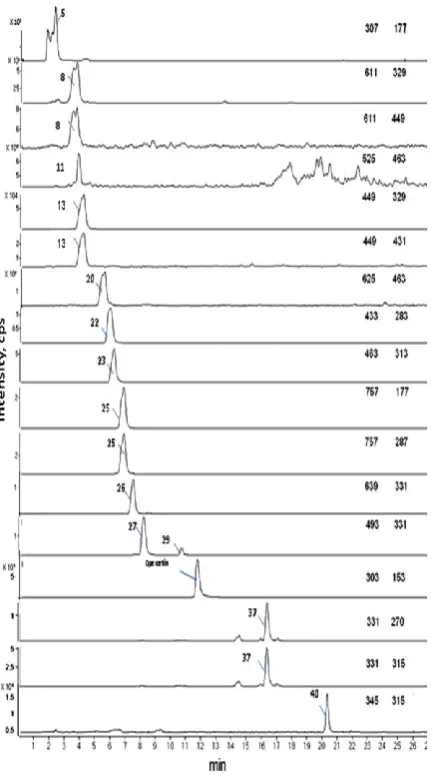 Figure 3: HPLC-UV-MS of methanol extract of leaves from 2-week-old winter wheat Claire