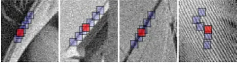 Figure 1  Fragments of Lena, House, Boatsblock matching is illustrated by showing a reference block marked shown with red color and a few of its matched ones.Barbara  and corrupted by AWGN  of σ = 15