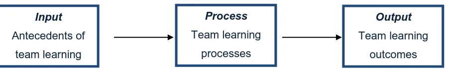 Figure 2: Schematic representation of the Input-Output-Process (IPO) model (Hackman, 1974) 