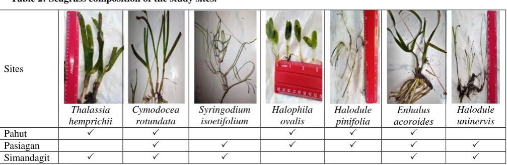 Table 2: Seagrass composition of the study sites.  