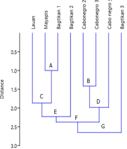 Figure 2: Cluster Analysis in La Paz Tree Park. 