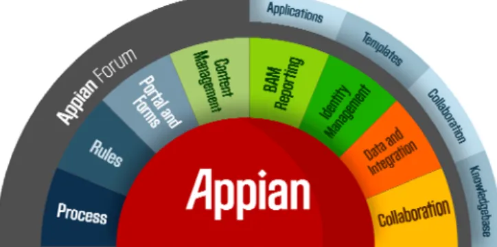 Figure 3.  The Appian BPM Suite (Source: Appian) 