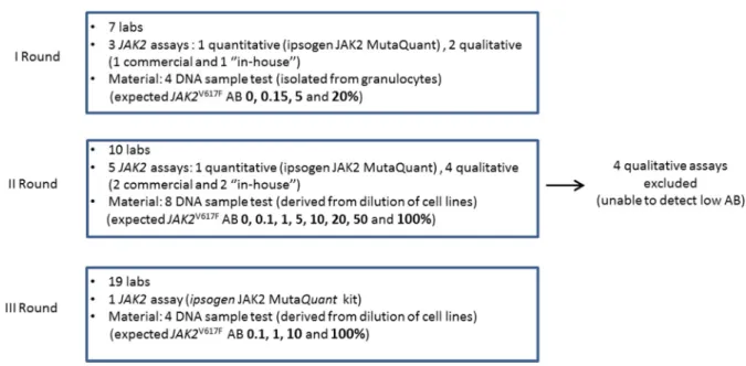 Figure 1: Design of the study.  A network of 19 Italian Centers was established and the study was conceived in 3 different rounds,  in which seven, ten and nineteen laboratories participated, respectively