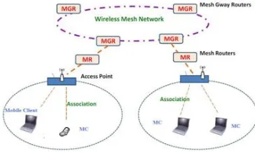 Figure 1: Wireless Mesh Network 