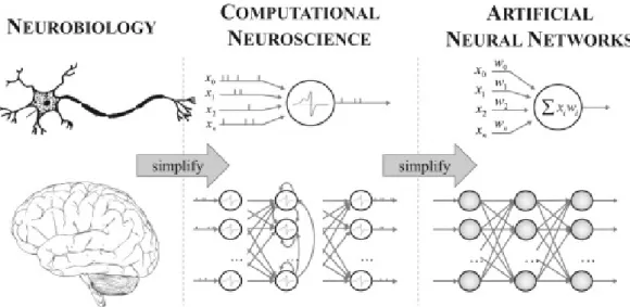 Figure 5.1 Comparison of biological and artificial neural networks (source: