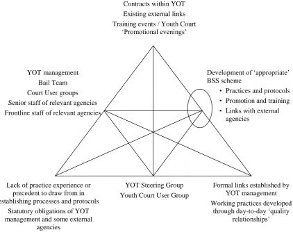 Figure 5.2. Temporal and transitory objects in the early development of BSS 